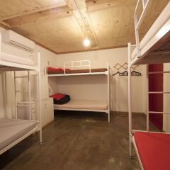 Lazy Fox Hostel