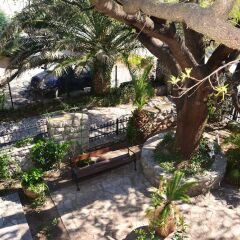Hotel Dubrava фото 6