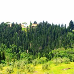 Отель Agriturismo Martignana Alta Эмполи фото 2