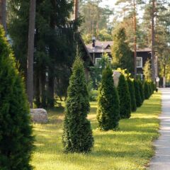 Гостиница Царство Королевство фото 9
