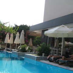 Hatipoglu Beach Hotel с домашними животными