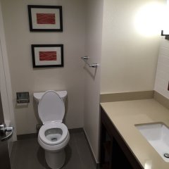 Comfort Inn and Suites in Pittsburgh, United States of America from 146$, photos, reviews - zenhotels.com bathroom