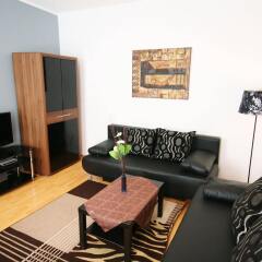 Отель Vienna CityApartments - Premium Apartment Vienna 1 Австрия, Вена - отзывы, цены и фото номеров - забронировать отель Vienna CityApartments - Premium Apartment Vienna 1 онлайн комната для гостей фото 2