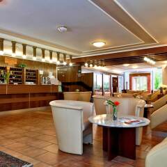 TOP Hotel Agricola гостиничный бар