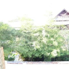 Отель Villa Oasis Luang Prabang пляж