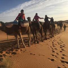 Отель Galaxy Desert Camp Merzouga Марокко, Мерзуга - отзывы, цены и фото номеров - забронировать отель Galaxy Desert Camp Merzouga онлайн приотельная территория