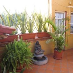 Отель Westall Tours B&B Мексика, Мехико - отзывы, цены и фото номеров - забронировать отель Westall Tours B&B онлайн фото 3