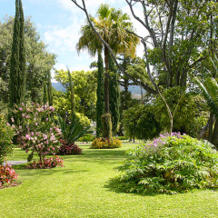 Отель Quinta Jardins do Lago Португалия, Фуншал - отзывы, цены и фото номеров - забронировать отель Quinta Jardins do Lago онлайн фото 8