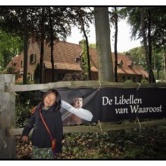 Отель B&B De Libellen van Waaroost Бельгия, Осткамп - отзывы, цены и фото номеров - забронировать отель B&B De Libellen van Waaroost онлайн фото 3
