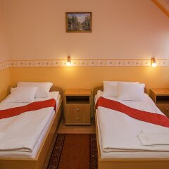 Arany Patkó Hotel & Restaurant детские мероприятия