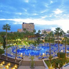 Отель Iberostar Las Dalias с домашними животными