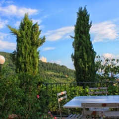 Отель Agriturismo Fattoria La Torre Реггелло фото 9