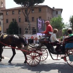 Отель House&Colosseum спортивное сооружение