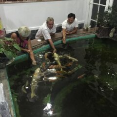 Отель Beautiful Moon Hoi An Villa фитнесс-зал