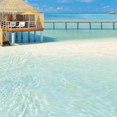 Отель Constance Moofushi Resort бассейн