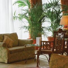 Отель Thistle Westminster Великобритания, Лондон - отзывы, цены и фото номеров - забронировать отель Thistle Westminster онлайн комната для гостей фото 5