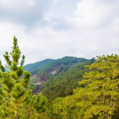 Отель Kymi Villa Da Lat Далат фото 2