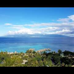 Отель Villa Manatea - Moorea фото 3