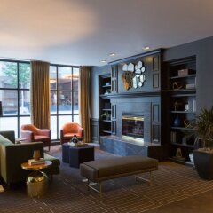 Hotel Theodore развлечения