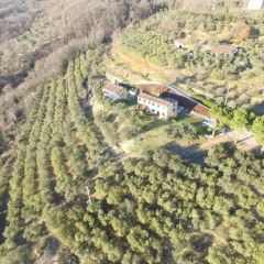 Отель Holiday House Petrarca Италия, Региональный парк Colli Euganei - отзывы, цены и фото номеров - забронировать отель Holiday House Petrarca онлайн фото 5