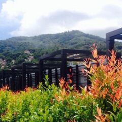 Отель Best Western Patong Beach Пхукет фото 2