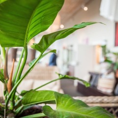 Отель Arken Hotel & Art Garden Spa Швеция, Гётеборг - отзывы, цены и фото номеров - забронировать отель Arken Hotel & Art Garden Spa онлайн фото 9
