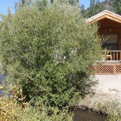 Отель Virginia Creek Settlement Ли Вайнинг фото 5