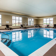Отель Comfort Suites Effingham с домашними животными