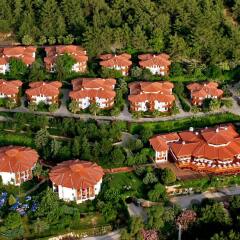Отель Montana Pine Resort - All Inclusive фото 11