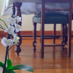 Отель Alfama 3B - Balby's Bed&Breakfast Португалия, Лиссабон - отзывы, цены и фото номеров - забронировать отель Alfama 3B - Balby's Bed&Breakfast онлайн с домашними животными
