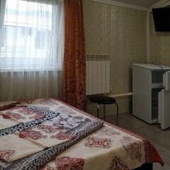 Гостиница "Альбатрос-Адлер" Част. гост удобства в номере фото 2