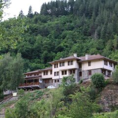 Отель Bedenski Bani Hotel Болгария, Чепеларе - отзывы, цены и фото номеров - забронировать отель Bedenski Bani Hotel онлайн фото 4
