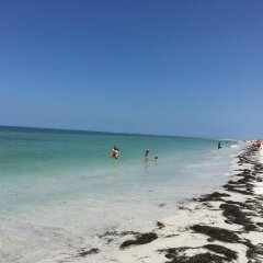 Отель Dolphin Beach Resort пляж