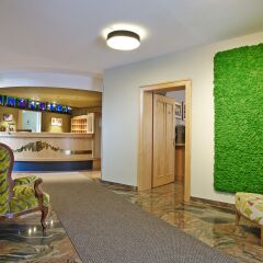 Отель Das Grüne Hotel zur Post - 100 % BIO Австрия, Зальцбург - отзывы, цены и фото номеров - забронировать отель Das Grüne Hotel zur Post - 100 % BIO онлайн комната для гостей фото 2