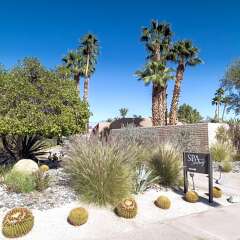 Отель Borrego Springs Resort and Spa фото 14