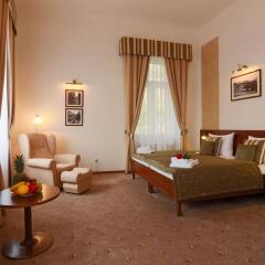 Hotel U Svatého Jana комната для гостей фото 4