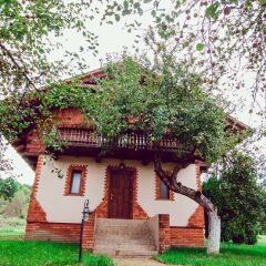 Гостиница Червона Рута детские мероприятия фото 2