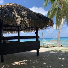 Отель Le Coconut Lodge пляж фото 2