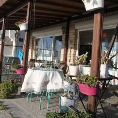 Foca Kumsal Hotel Турция, Фоча - отзывы, цены и фото номеров - забронировать отель Foca Kumsal Hotel онлайн фото 17