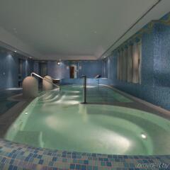 Hotel De Russie с домашними животными
