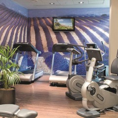 Отель Crowne Plaza Paris - Neuilly фитнесс-зал фото 2