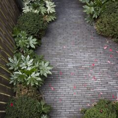 Отель Antwerp For Two Bed & Breakfast Антверпен фото 7