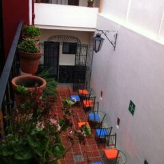 Отель Olga Querida B&B Hostal Мексика, Гвадалахара - отзывы, цены и фото номеров - забронировать отель Olga Querida B&B Hostal онлайн фото 9