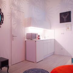 Отель City Center Design Apartments Венгрия, Будапешт - отзывы, цены и фото номеров - забронировать отель City Center Design Apartments онлайн в номере фото 2