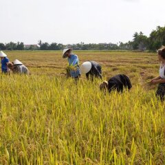 Отель Quynh Chau Homestay фитнесс-зал