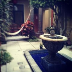 Tequila Hostel фото 3