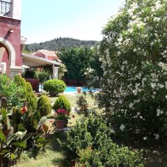 Отель Villa De Loulia Греция, Корфу - отзывы, цены и фото номеров - забронировать отель Villa De Loulia онлайн фото 8