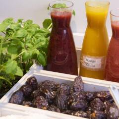Thon Hotel Brussels City Centre в номере фото 2
