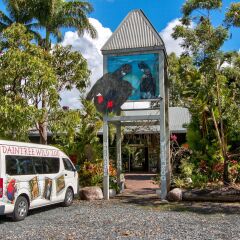 Отель Daintree Wild Zoo & Bed and Breakfast городской автобус