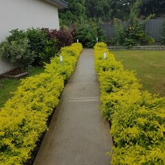 Апартаменты Nadi Airport Apartments